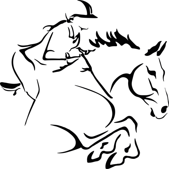 Logo wildchallenge png.png